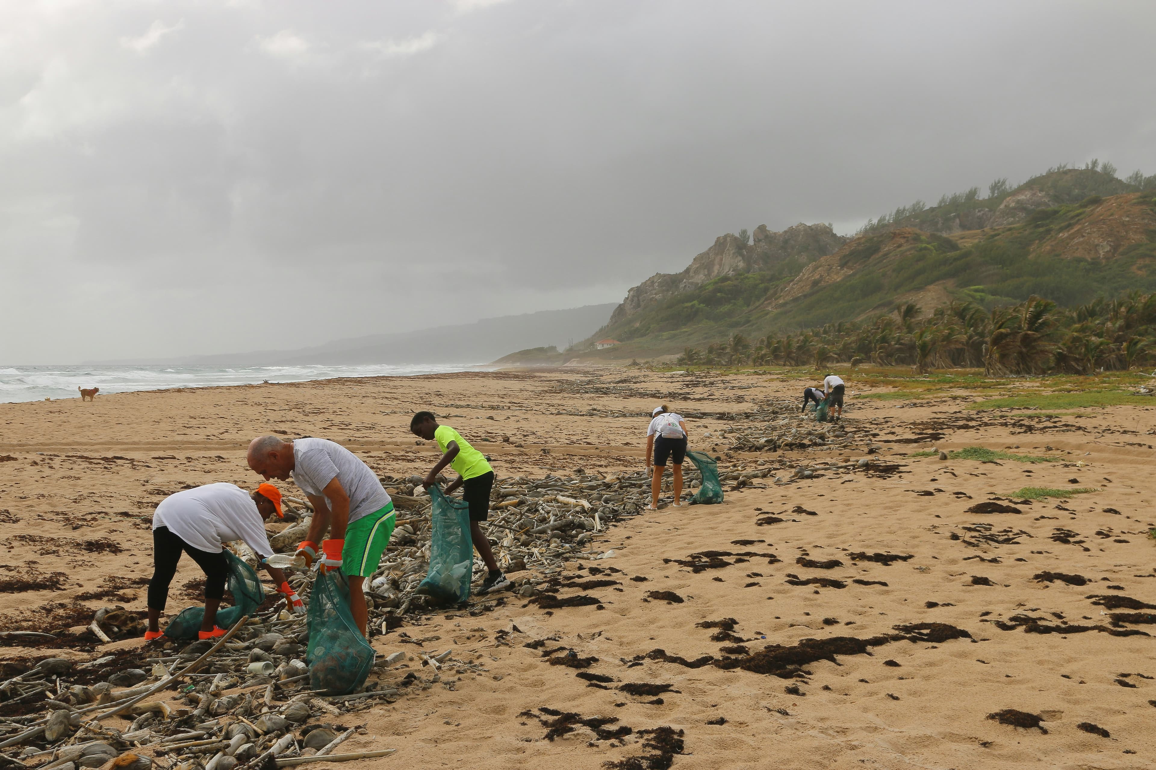 Saturday beach cleanup at Stinson
