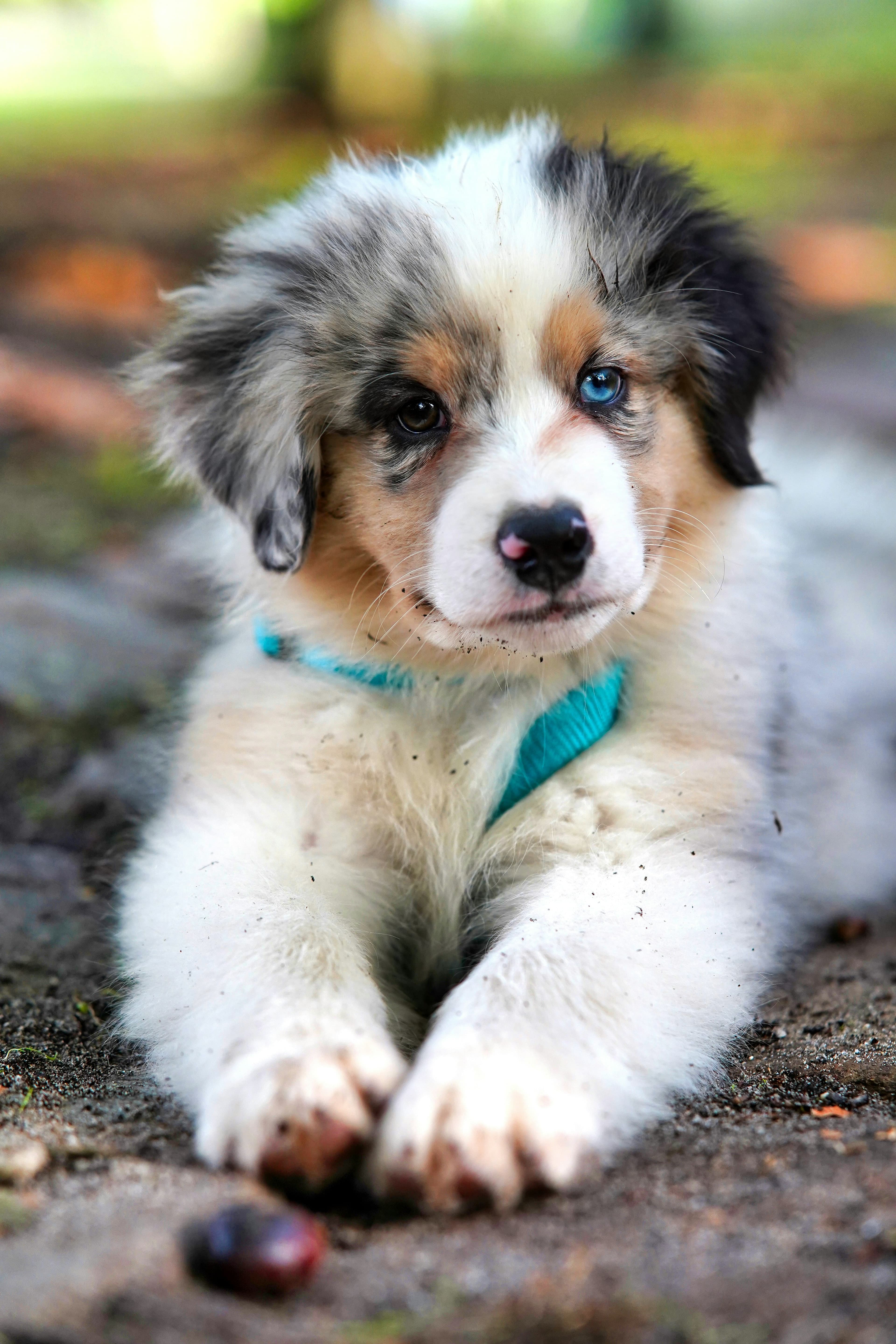 Adoption Day greeter